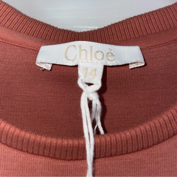 Chloe Sweatshirt Dress - Picture 4 of 5
